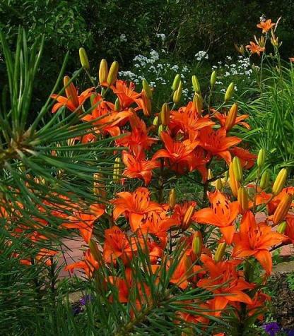 Photography by Oleg Shatov 2