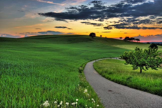 Evening Glory by John Langley